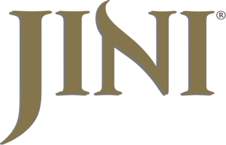 Jini-2-